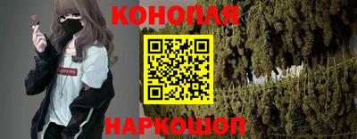 jwh Гатчина