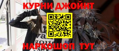 jwh Гатчина